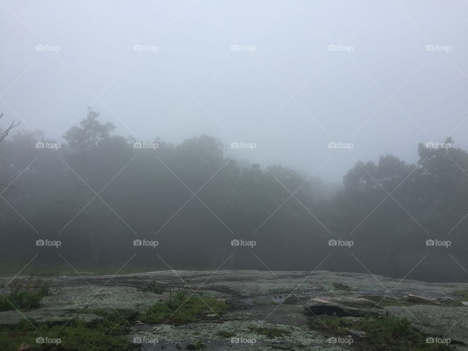Foggy Mountaintop