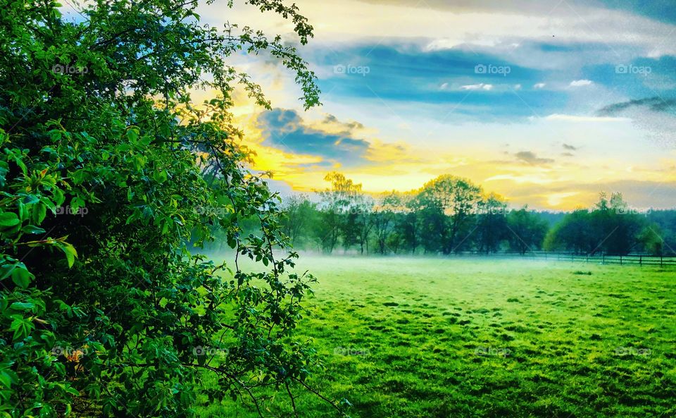 Light fog over a fresh green meadow in the woods forming an idyllic and tranquil scene under a colorful sunset or sunrise sky