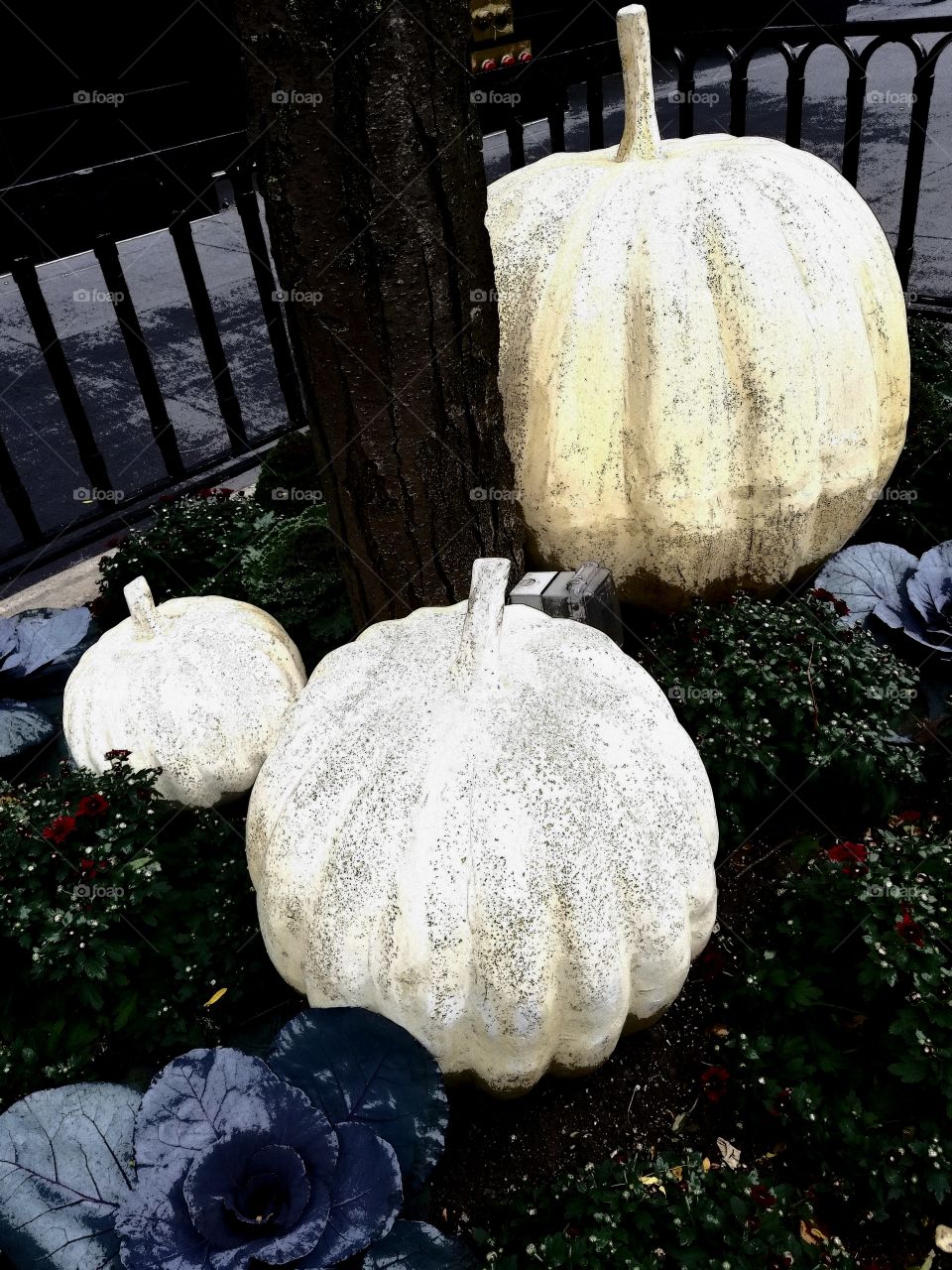 Pumpkin Sculptures on Sidewalk
