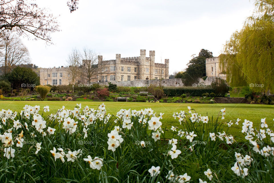 Leeds castle