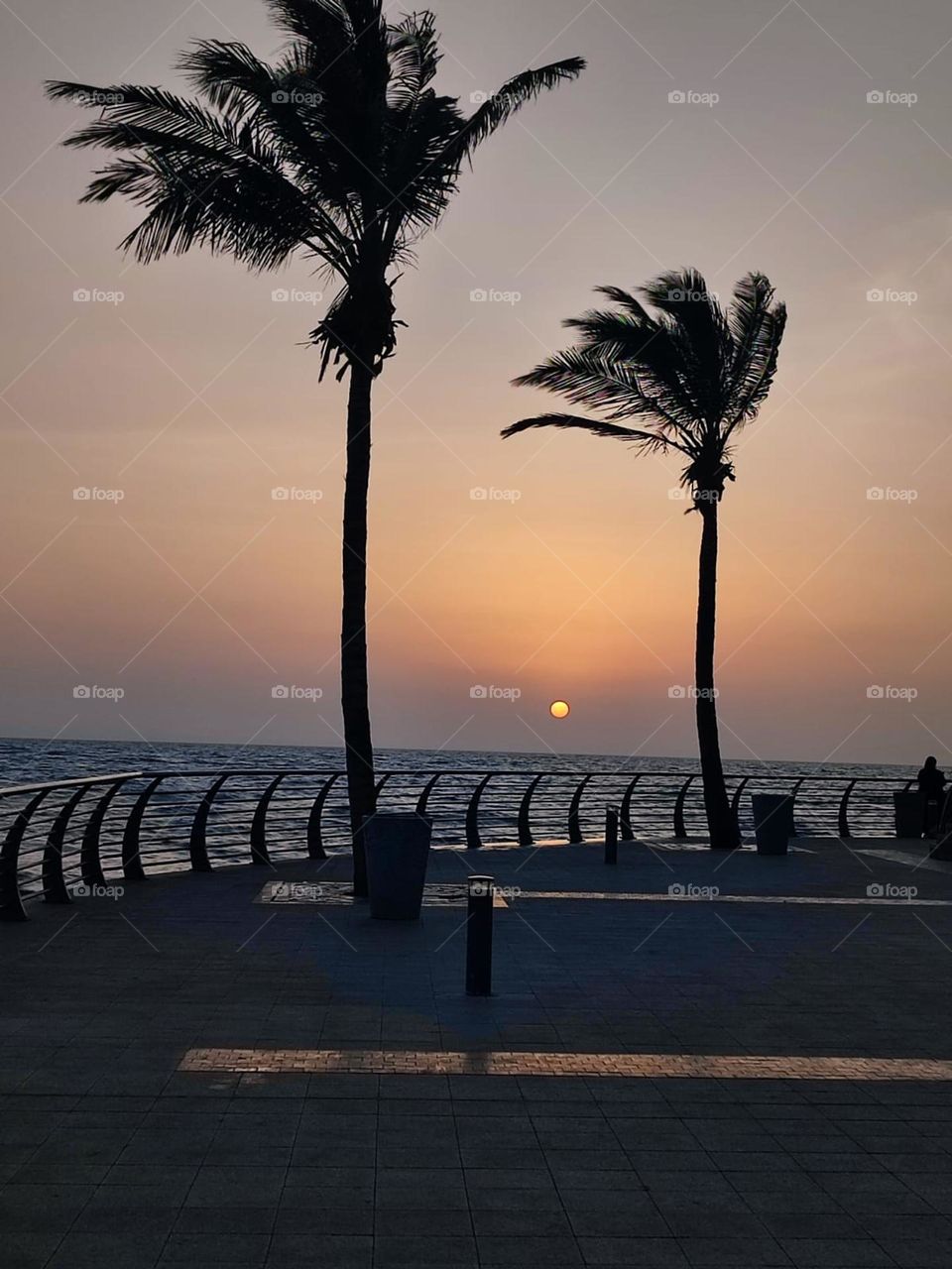 Sunset between Palms