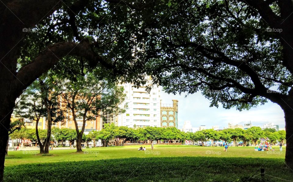 your local treasures: The Citizen Square is across from Qinmei Eslite Dept. Store.
has a beautiful, lush lawn, many people, family like to come here at holiday or leisure time. it is a mirthful and lively place.