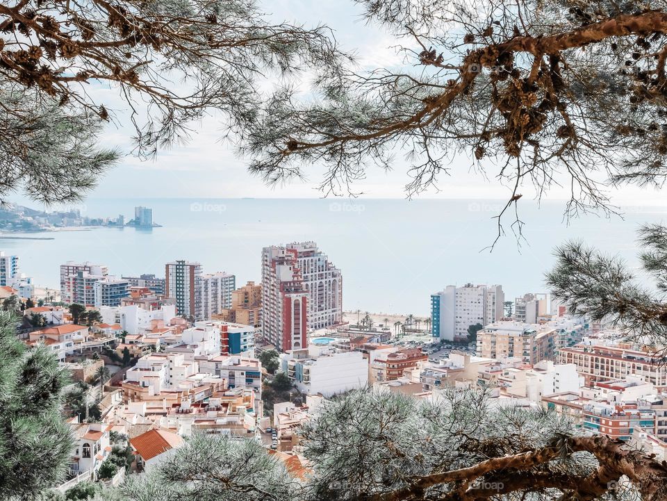 A beautiful panoramic view of the sea with houses and high-rise buildings through a frame of coniferous trees in Cullera Spain from a mountain height, close-up from the side.