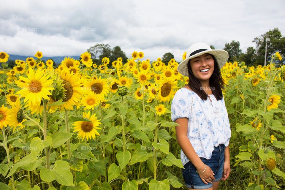 Summer, Sunflower, Agriculture, Nature, Flower