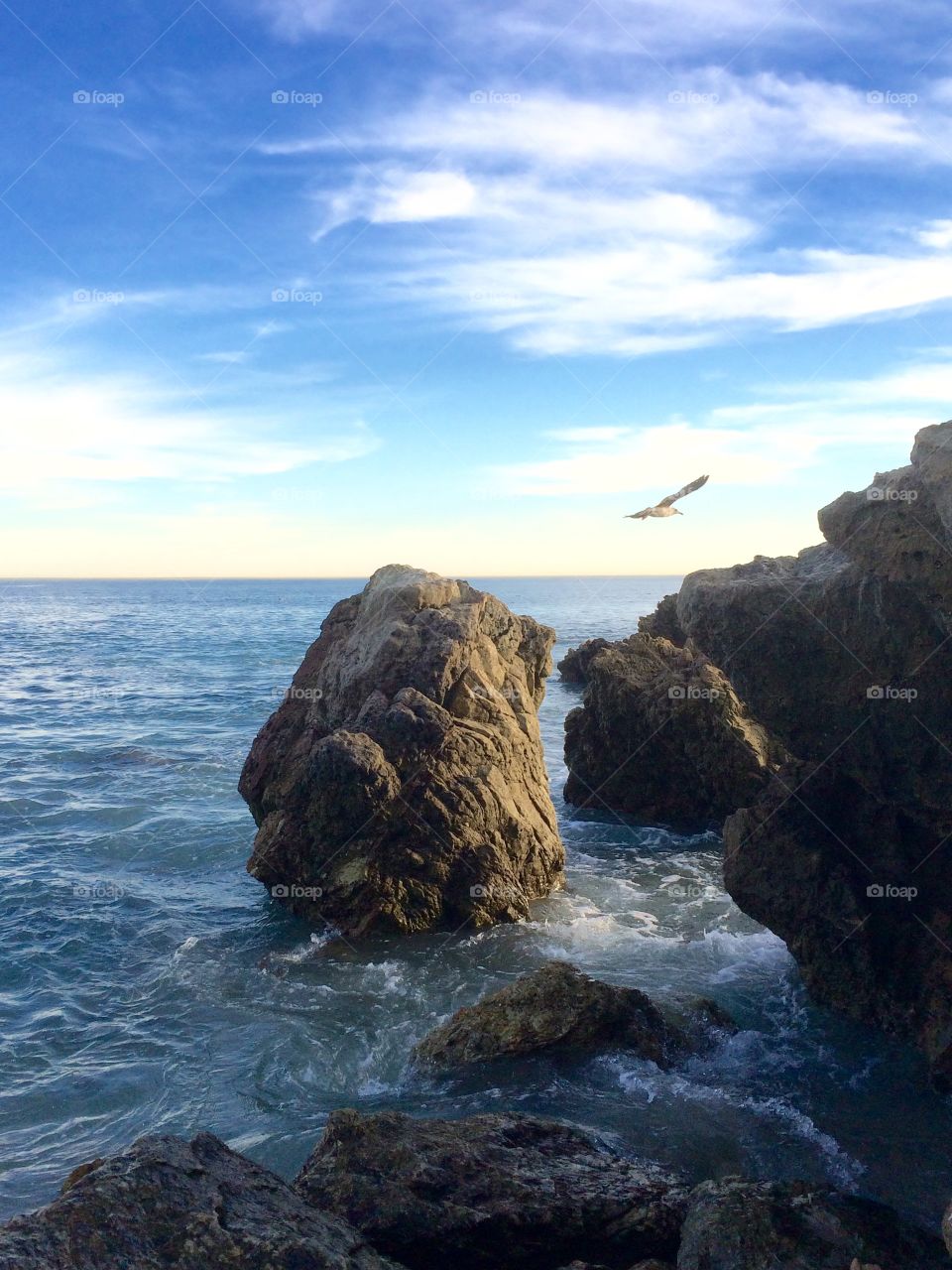 Sunsetting. Sunsetting