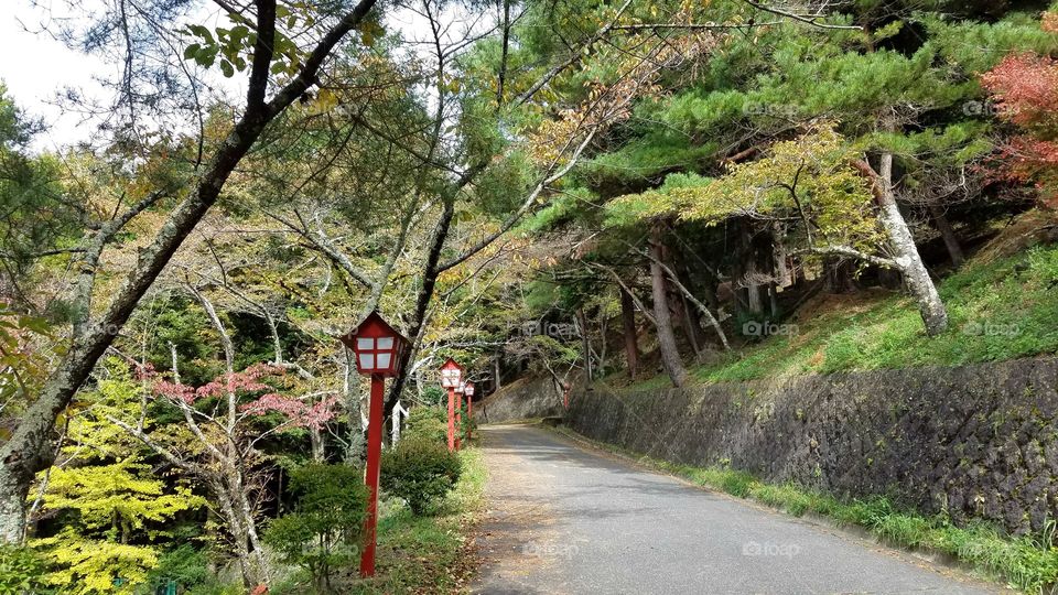 Walking alley