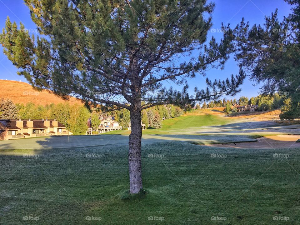 Frosty Fall Sunrise on the 8th Hole, Elkhorn Golf Course, Sun Valley, Idaho