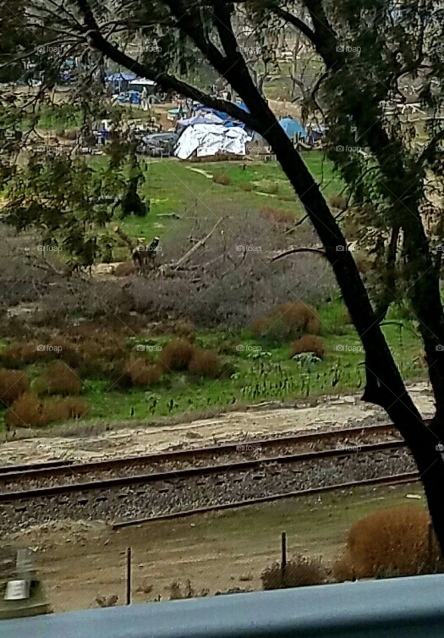 homeless Camp Los Angeles County California