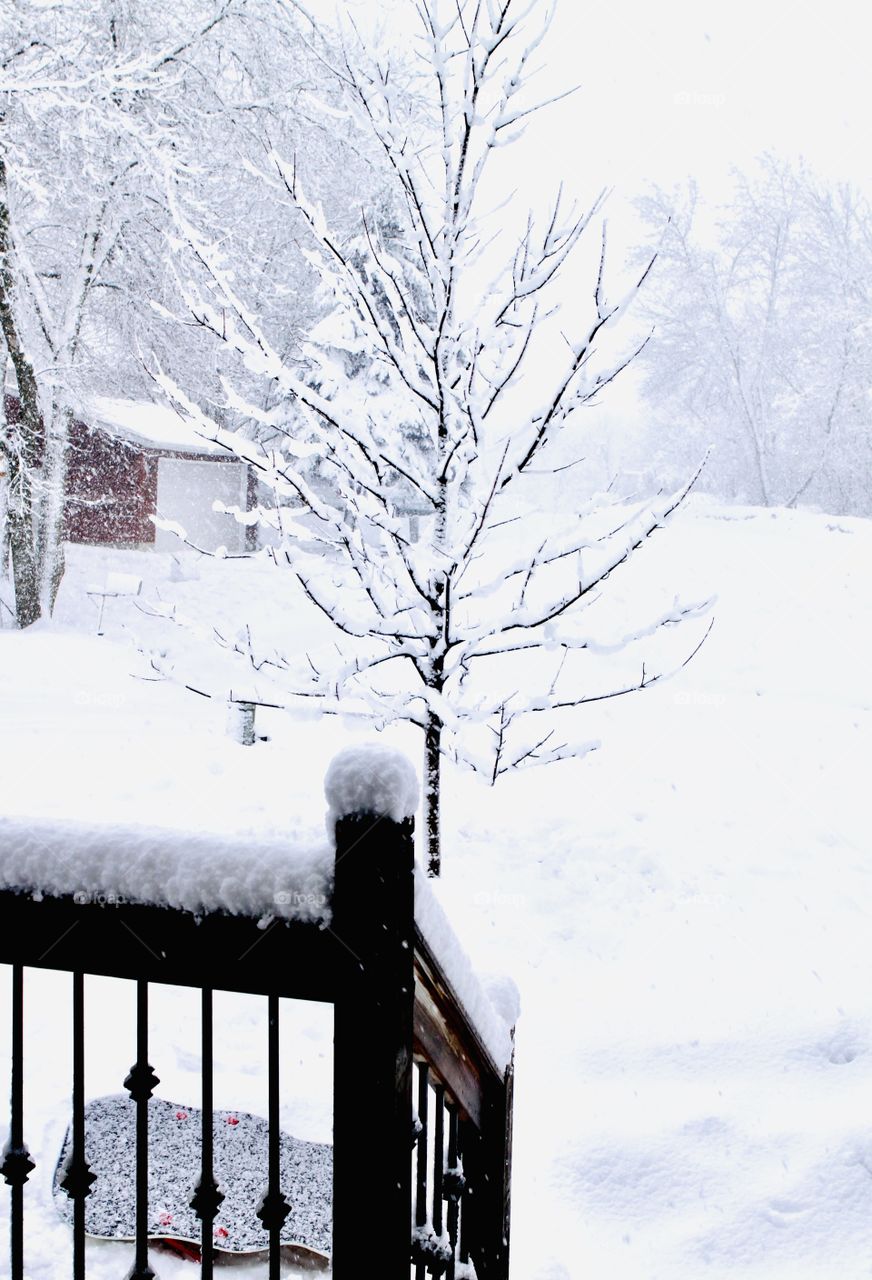 Gorgeous snowy white cold outdoor wonderland with snow covered railing in forefront. 
