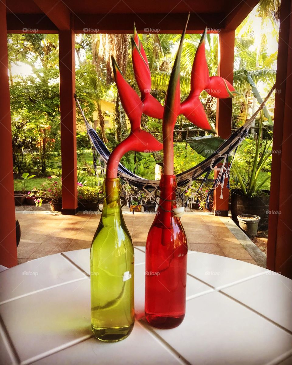 two heliconias in the yellow and red vases on the porch table