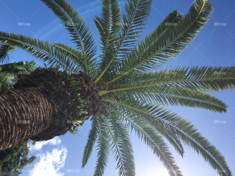 View from my subbed. 