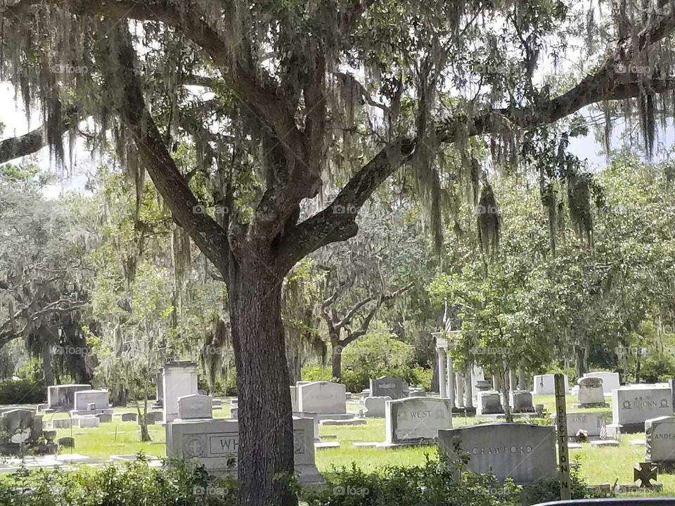 cemetery