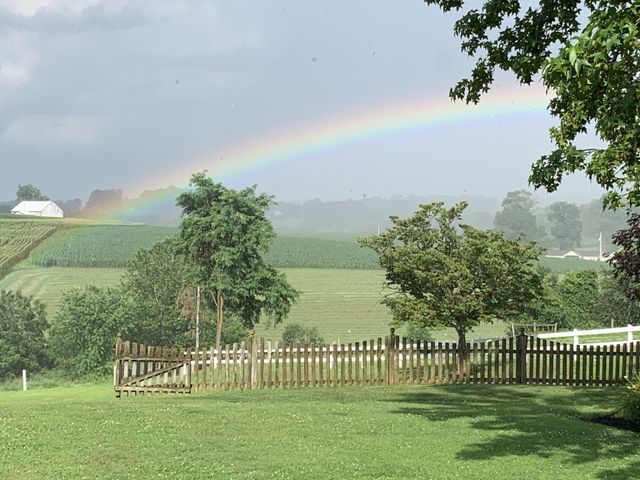 Rainbow 