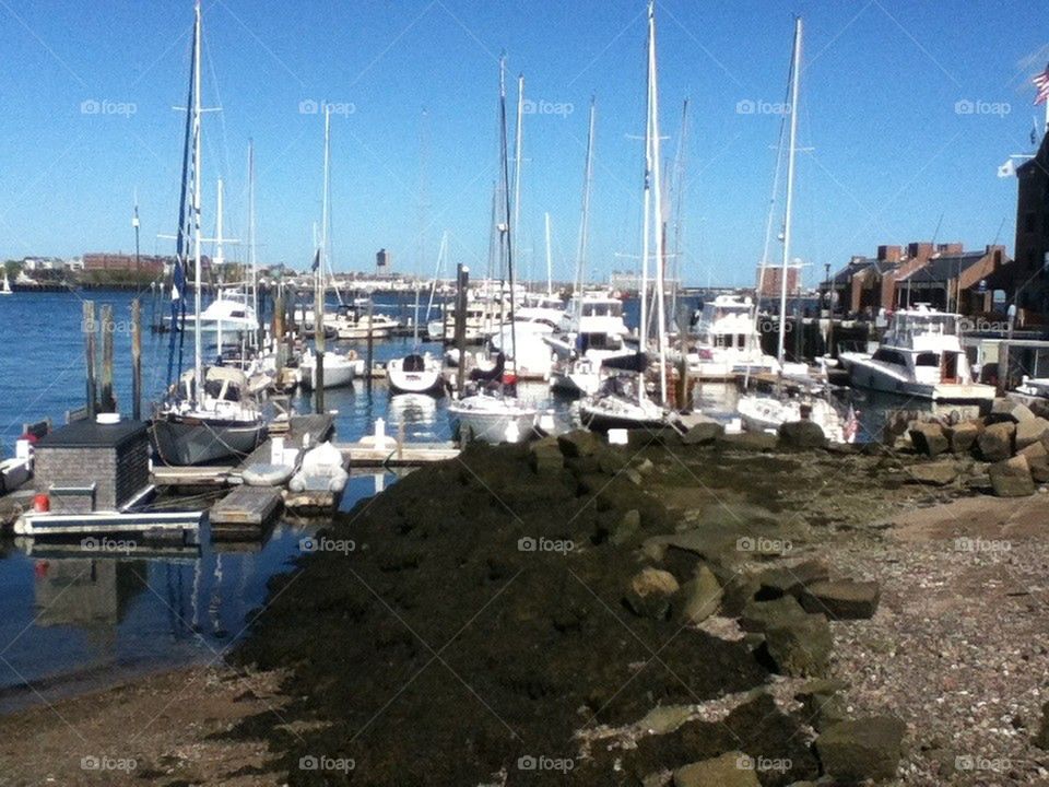 Boston boats