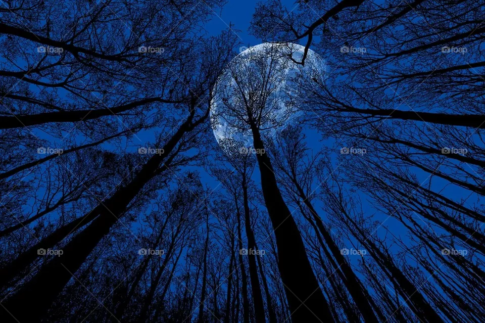 natural sky night moon view