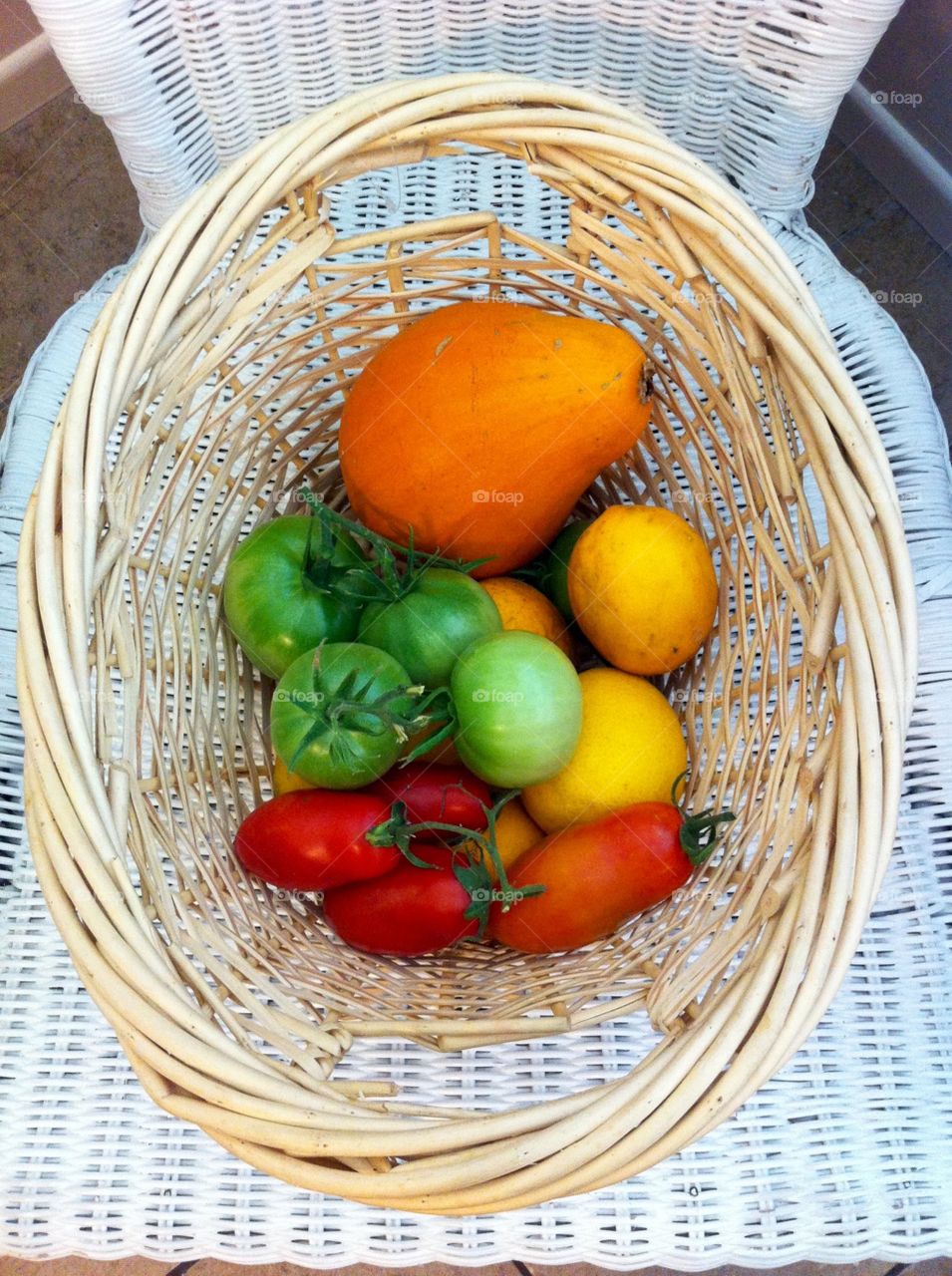 Summer Harvest. A lovely basket of veggies and fruit given by my neighbor from her garden. 
