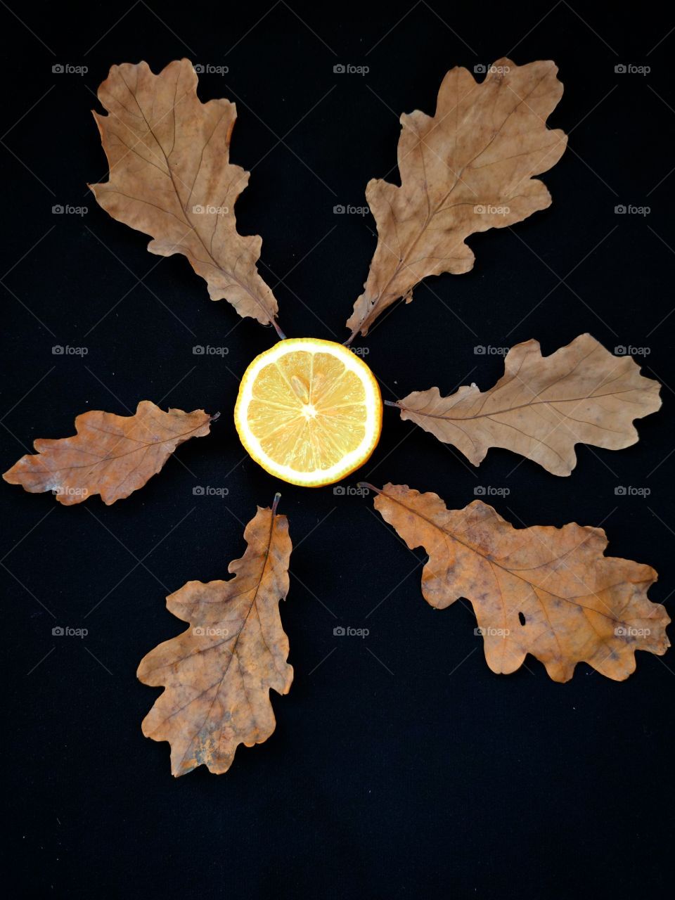 Autumn composition.  Food.  Half a lemon with dried oak leaves around it.  Black background