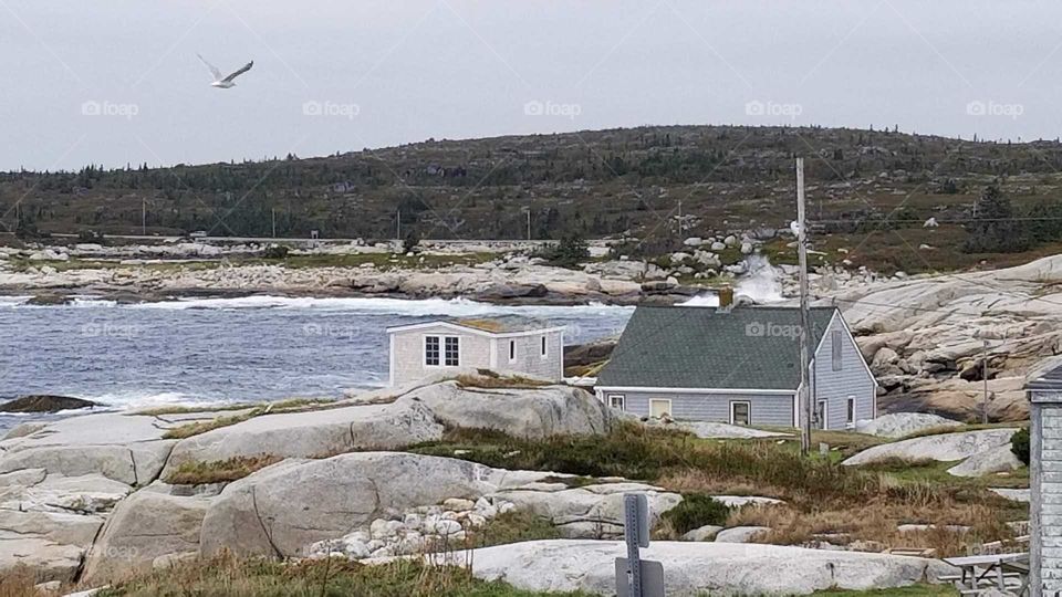 view from Peggy's Cove lighthouse