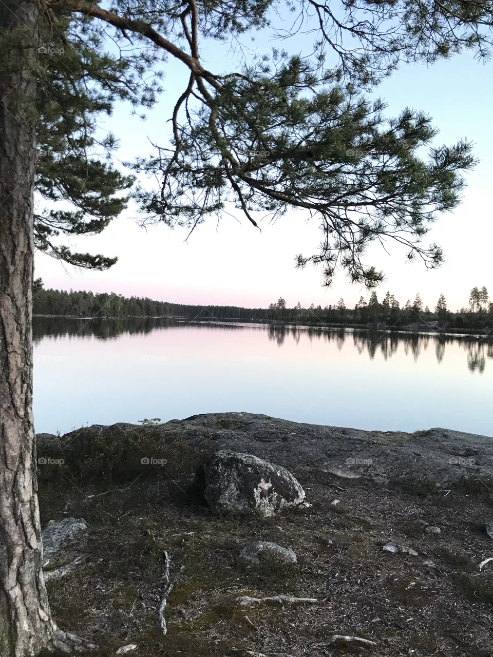 Nature 