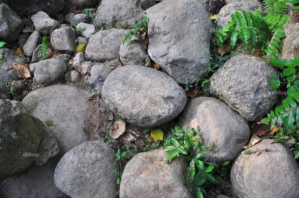 The boulders background. There're some pebbles and some small plants. Stony background. Rocky background.