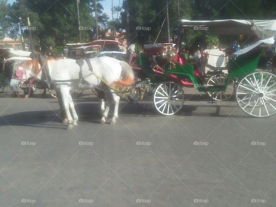 a chariot pulled by horses.