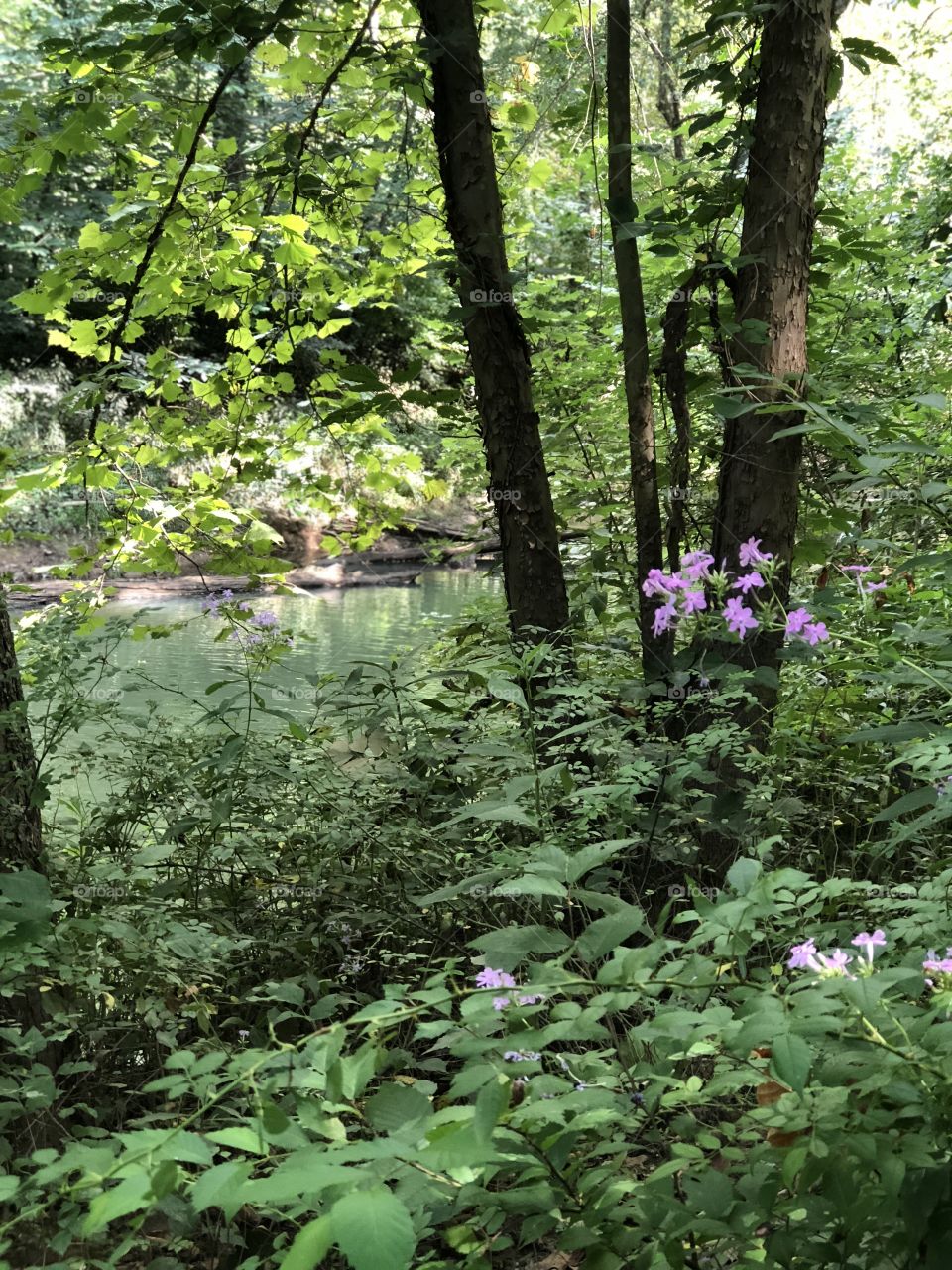 Riverside in old Cole Mining town of Moonville Oh