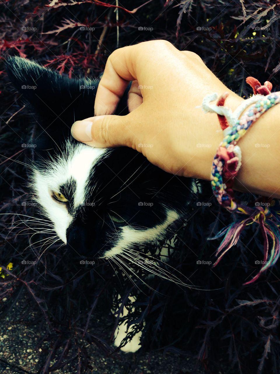 Friendship bracelets all summer long