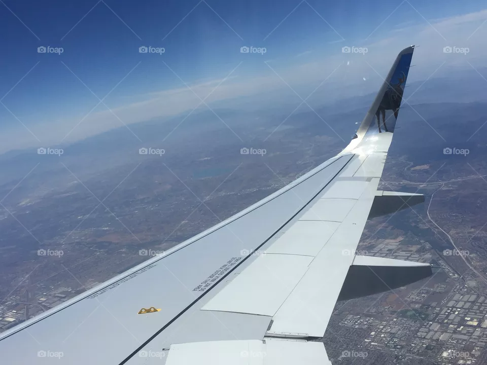 What a View