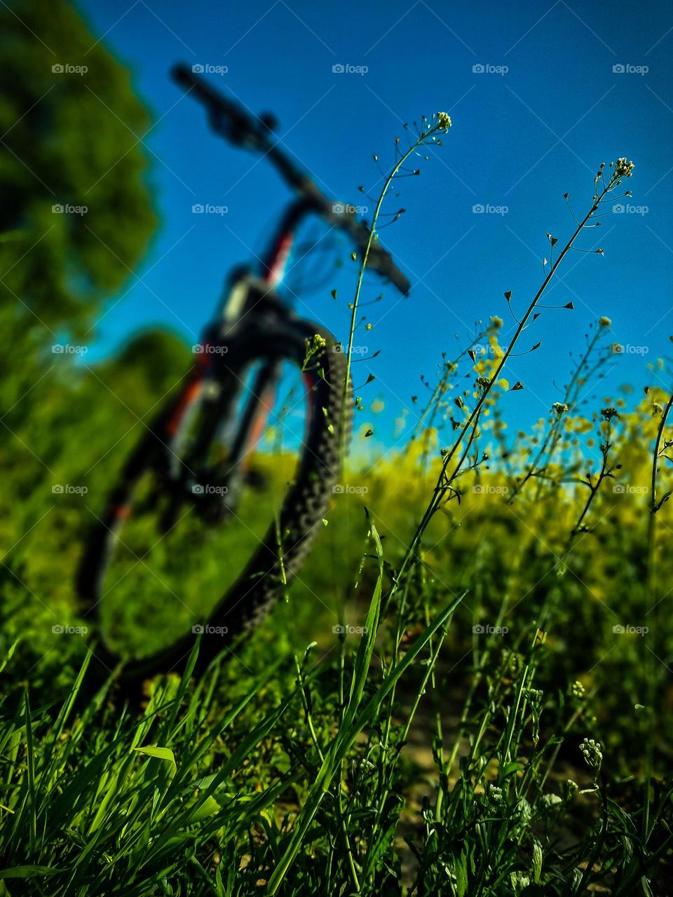 Weekend on bike with nature