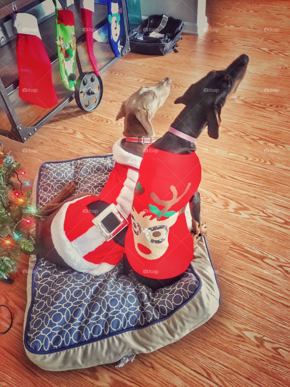 Santa and his Reindeer