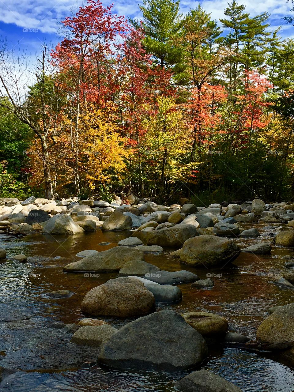 Autumn on the swift river 