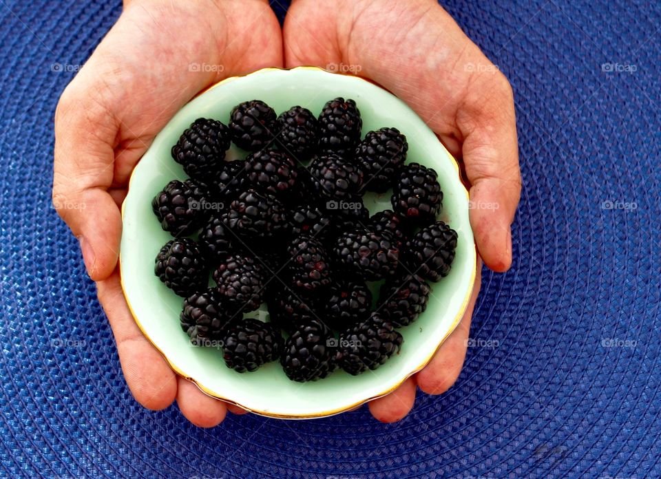 Close-up of a blackberries