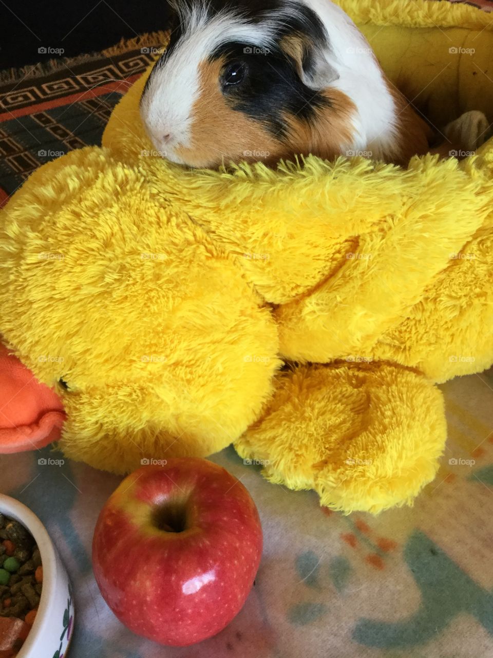 Feeling kind of cozy in plush ducky 