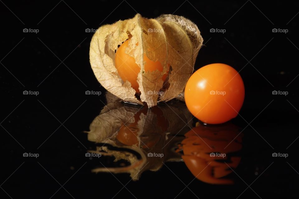 Physalis