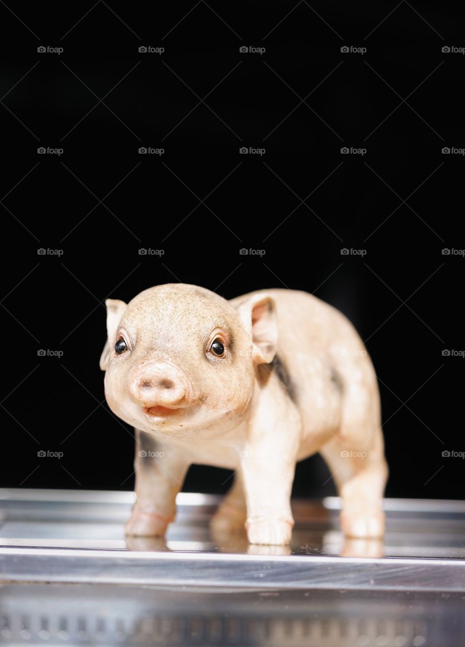 Piglet. An old small baby piglet toy is on display isolated on black background. Black background is for your customized text.