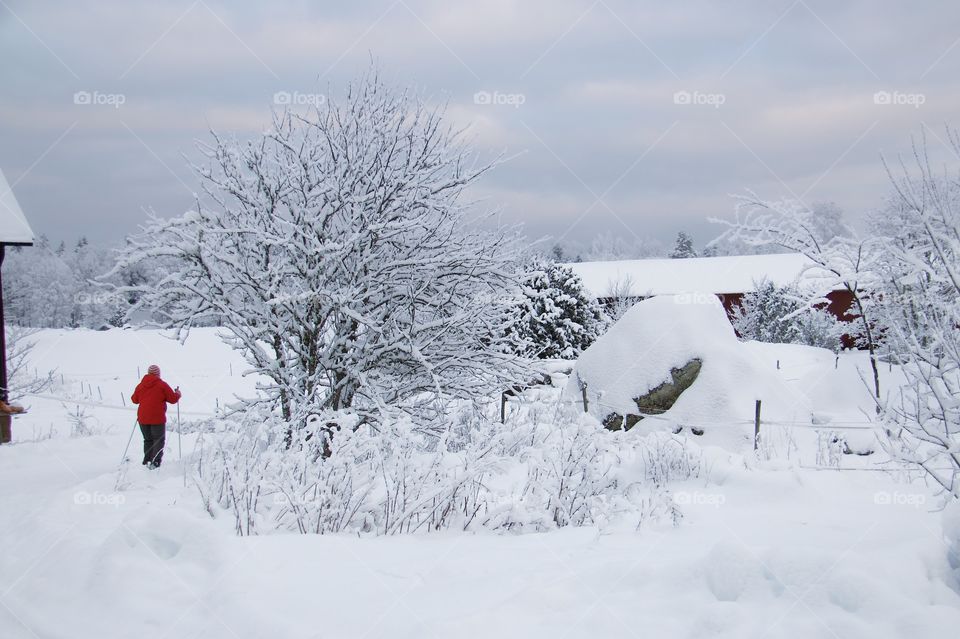 winter in the country