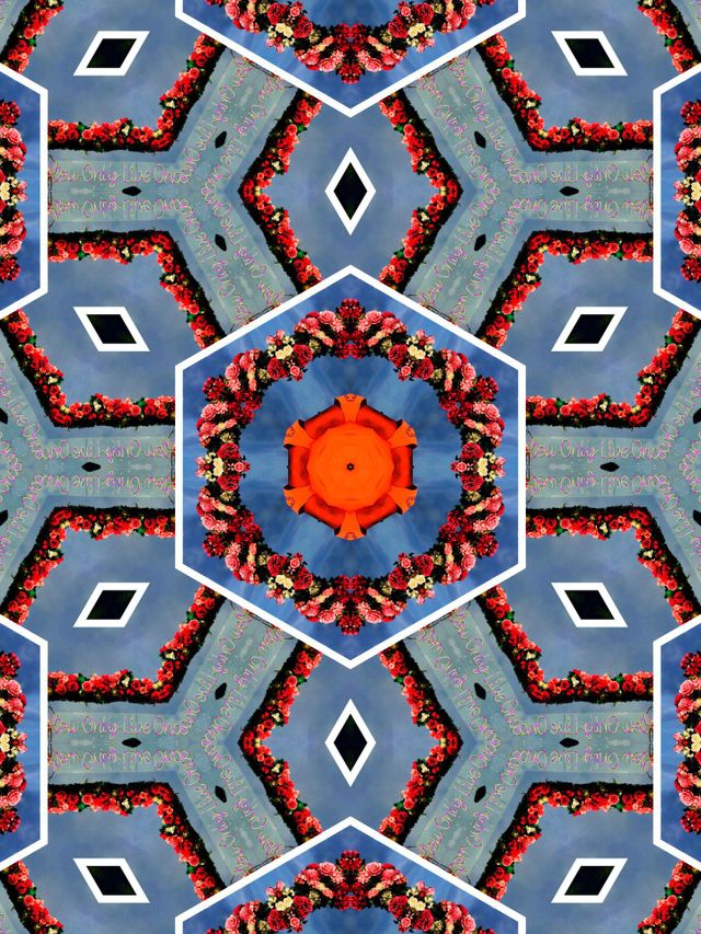 I was amazed how a simple photo transformed in to this beautiful design