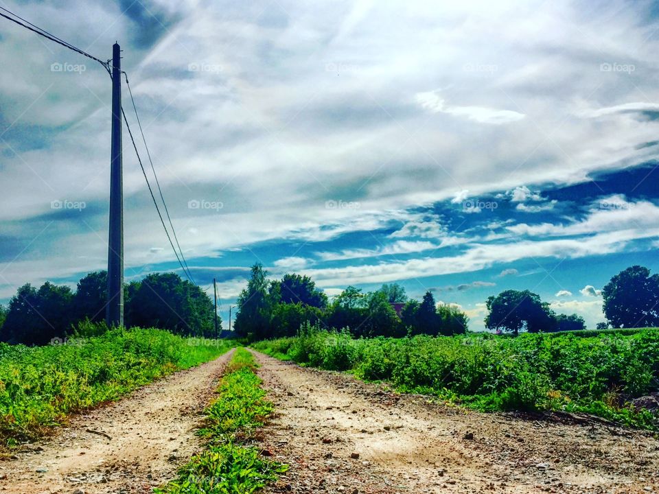 Dirt road and electricity lines between agraric fields running towards the woods