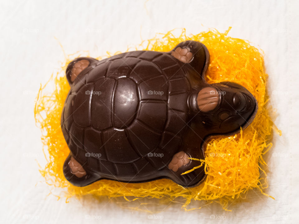 turtle chocolate