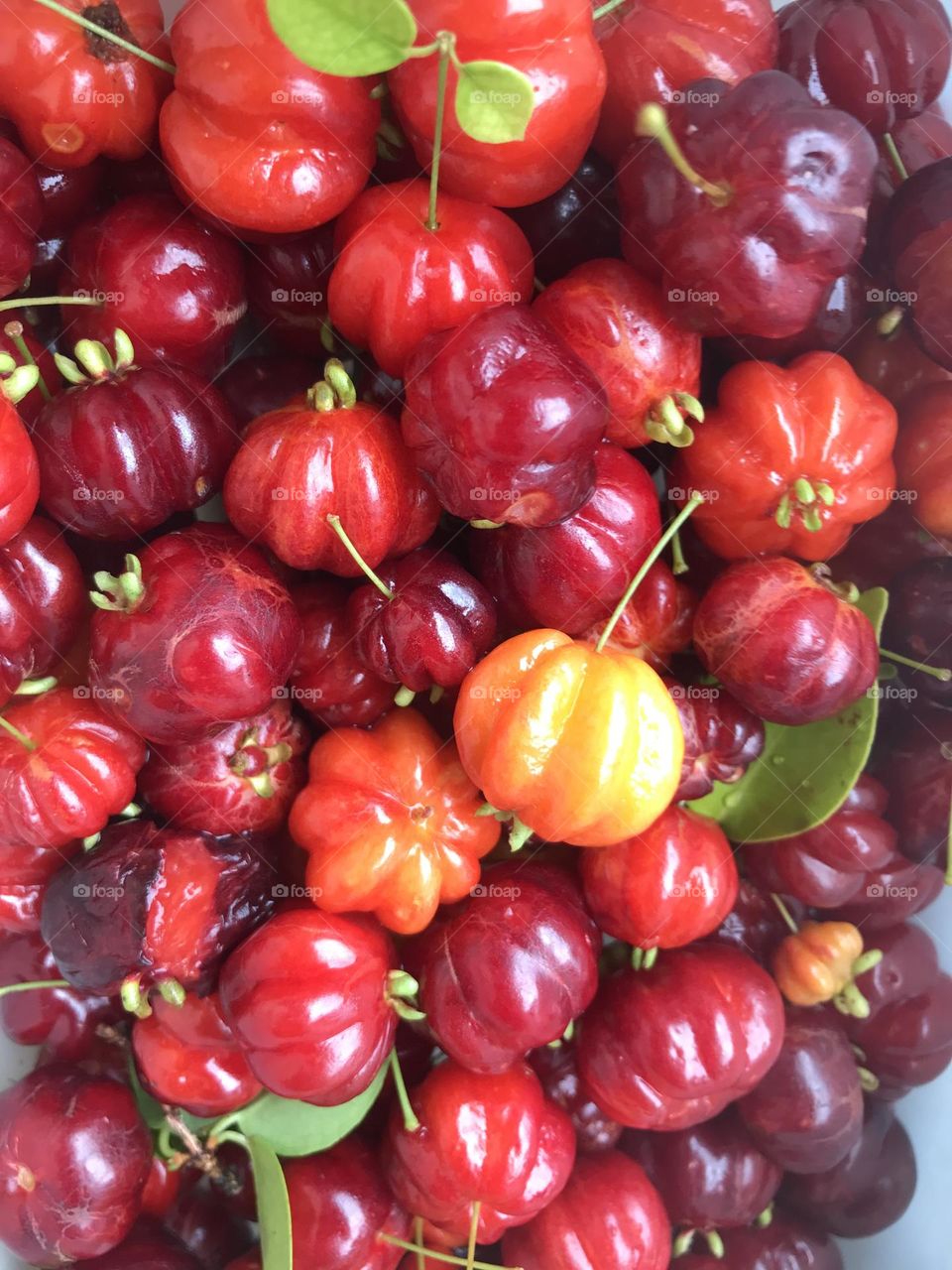 pitangas, citrus fruit from northeastern Brazil