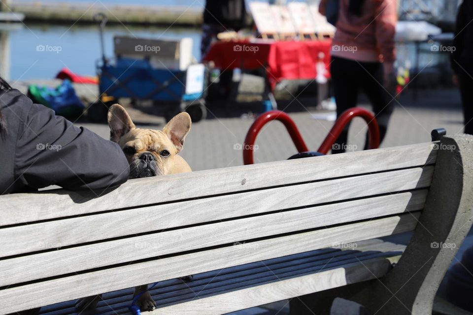 Let’s rest in the bench