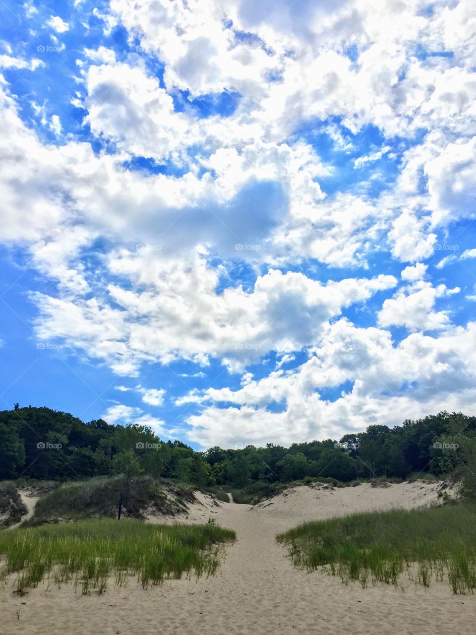 Indiana dunes