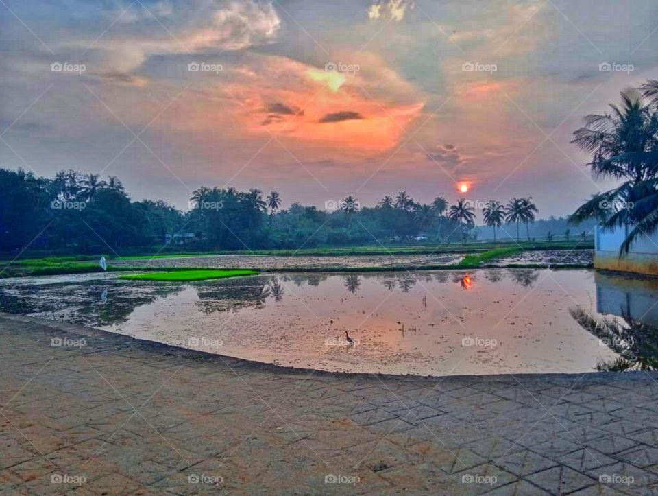 Sun set of god's own country