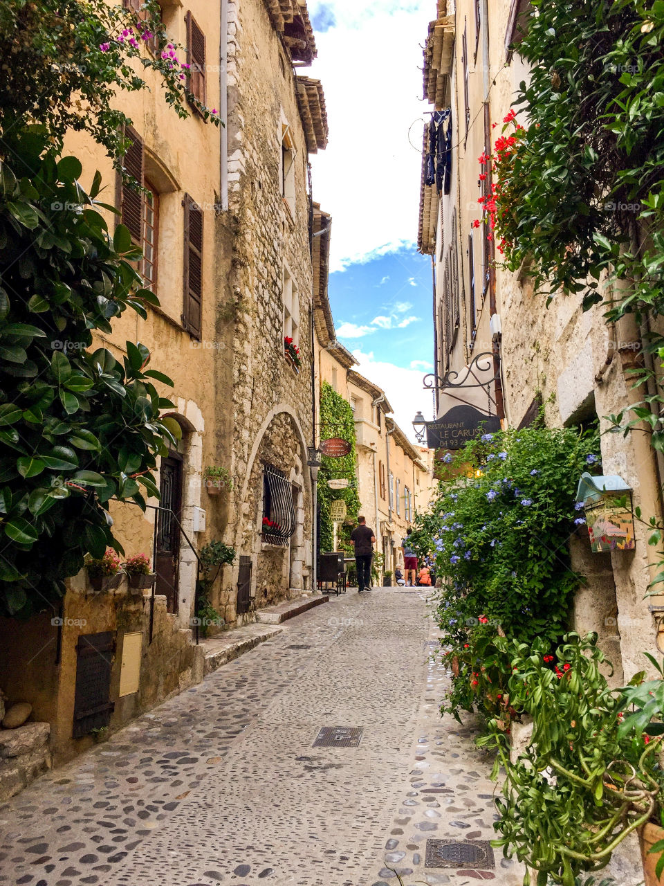Cobblestone street with gardens and stone buildings in pretty hilltop village in Provence France 