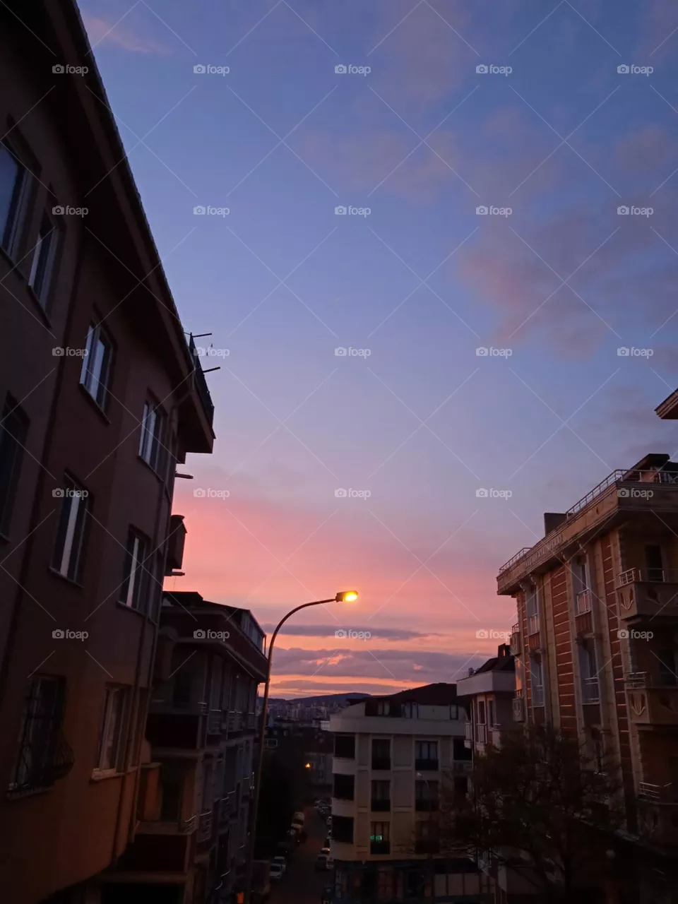 sunset