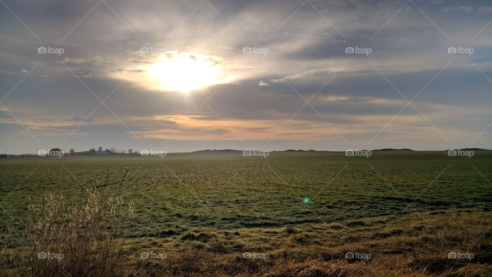 sun over the field