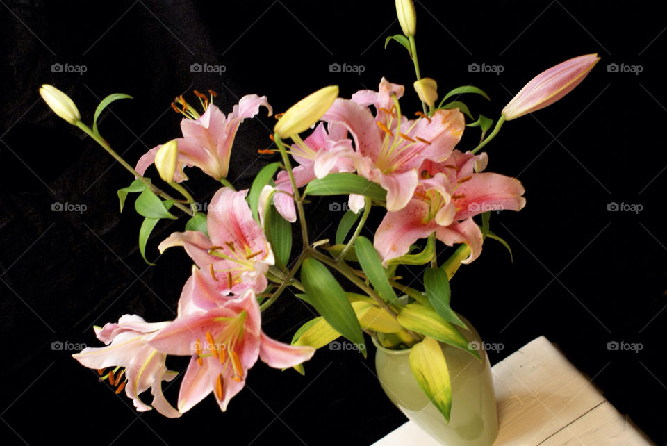 flowers garden flora home by lgt41