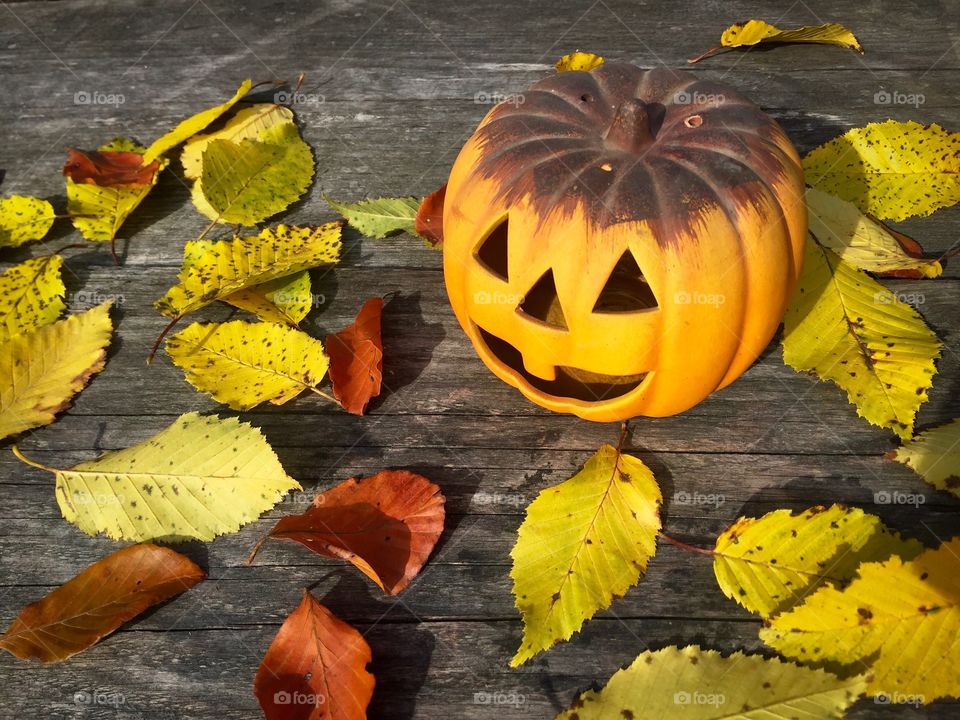 Scary pumpkin placed on rustic wooden table surrounded by yellow autumn leaves