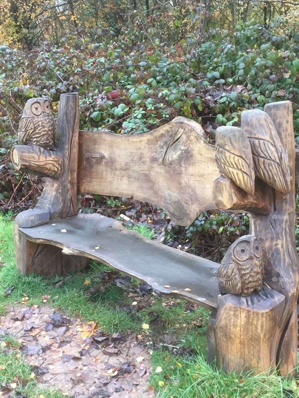 Woodland bench
