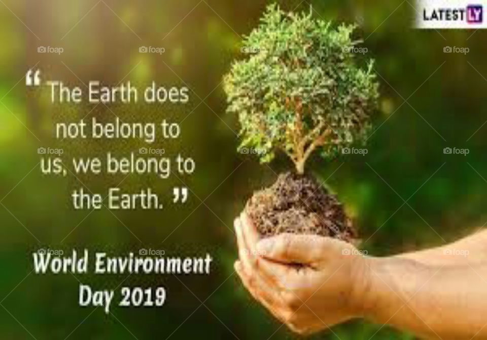 World Environment Day is the United Nations day for encouraging worldwide awareness and action to protect our environment.